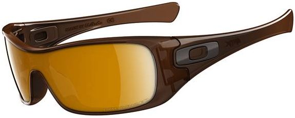 Antix in Polished Rootbeer / Bronze Polarized