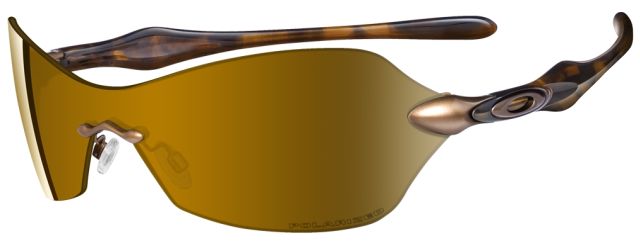 Dartboard in Brown Tortoise / Gold Iridium Polarized