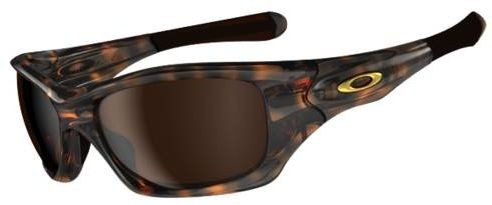 Pit Bull (AF) in Brown Tortoise / Dark Bronze