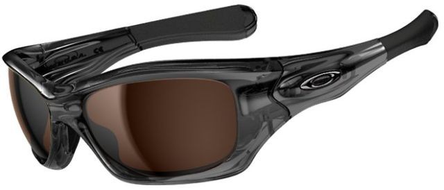 Pit Bull in Grey Smoke / Dark Bronze