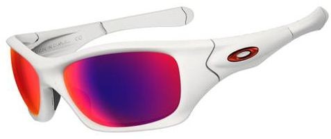 Pit Bull (AF) in Matte White / OO Red Iridium Polarized