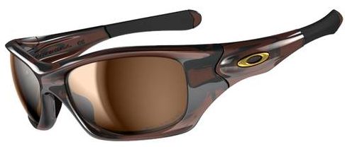 Pit Bull in Polished Rootbeer / Bronze Polarized