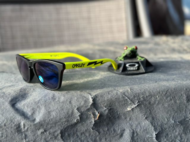 Collectors Frogskins 4-Legged in Black - Fluorescent / Ice Iridium