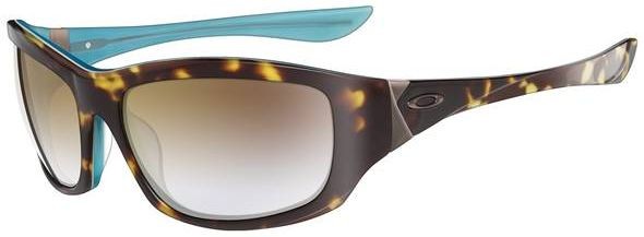 Disobey (AF) in Tortoise Blue / Brown-Clear Gradient
