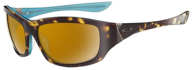 Disobey in Tortoise Blue / Dark Bronze