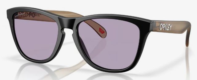 Collectors Frogskins (AF) in Matte Black / Prizm Slate