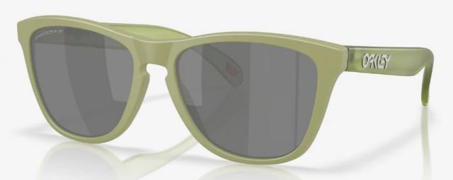 Collectors Frogskins (AF) in Matte Fern / Prizm Black Iridium Polarized
