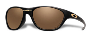 New Frogskins in Black / Gold Iridium Polarized
