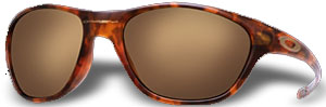 New Frogskins in Tortoise / Gold Iridium
