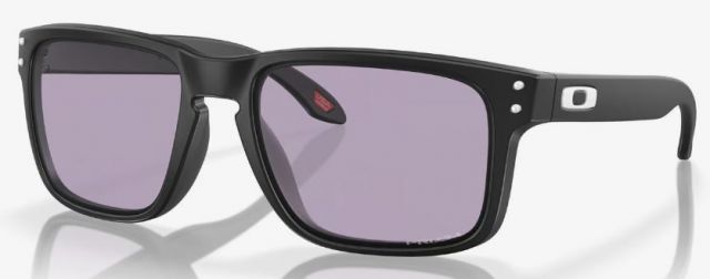 Holbrook (AF) in Matte Black / Prizm Slate