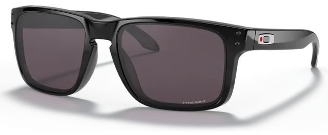 Holbrook (AF) in Polished Black / Prizm Grey