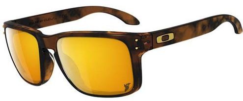 Holbrook in Brown Tortoise / 24K Gold Iridium
