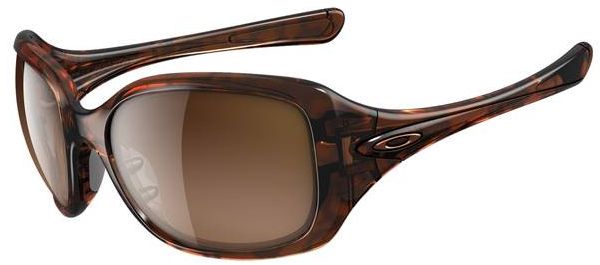 Necessity in Tortoise / VR50-Brown Gradient