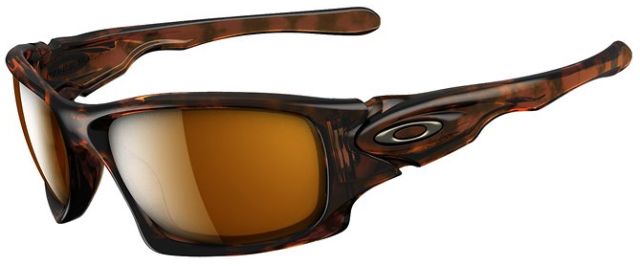 Ten in Brown Tortoise / Dark Bronze