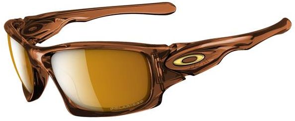 Ten in Polished Rootbeer / Bronze Polarized