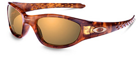 Tens in Tortoise / Gold Iridium