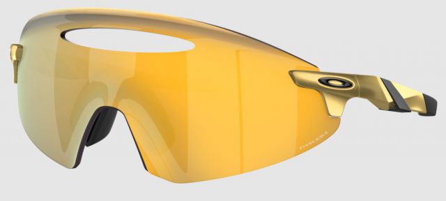 Encoder Ellipse in Gold / Prizm 24k