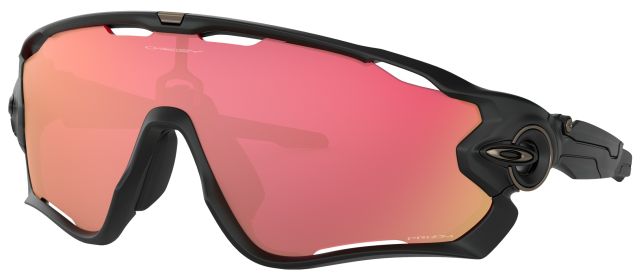 Jawbreaker in Matte Black / Prizm Snow Torch Iridium