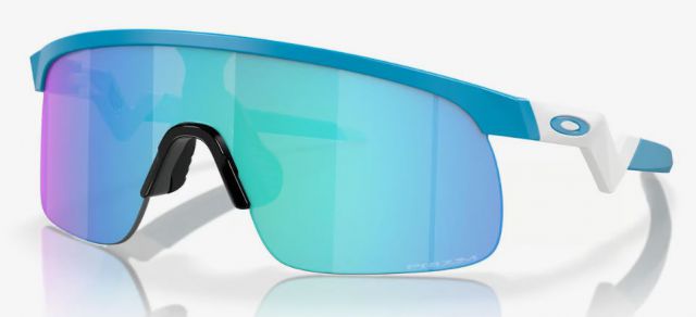 Resistor in Matte Sky Blue / Prizm Sapphire Iridium