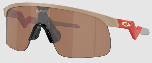 Resistor in Matte Terrain Tan / Prizm Tungsten