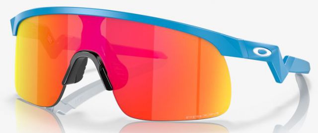 Resistor in Sky Blue / Prizm Ruby Iridium