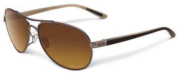 Feedback in Polished Chocolate / Brown-Clear Gradient Polarized