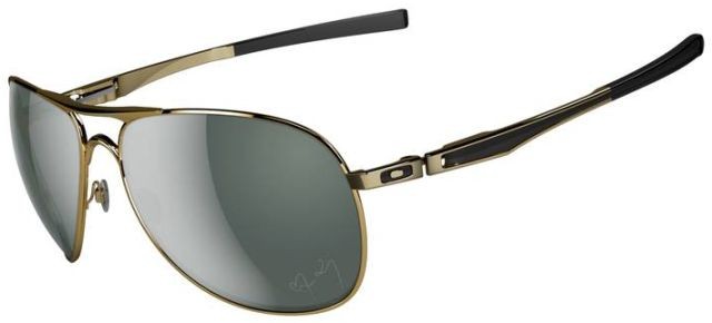 Plaintiff in Polished Gold / Dark Grey