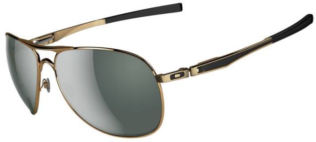 Plaintiff in Polished Gold / Dark Grey